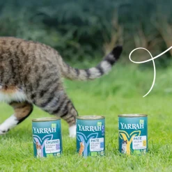 Bio Kattenvoer Paté Kip 400 gr^Yarrah New