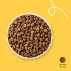 Kattenvoer<Yarrah Bio Kattenvoer Sterilised 700 gr