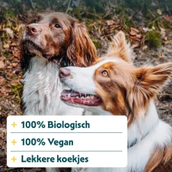 Bio Multi-Koekjes Vegetarisch 250 gr^Yarrah Sale