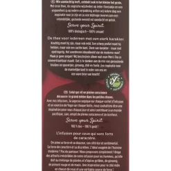 Hot Mens Tea Biologisch 17 stuks Thee