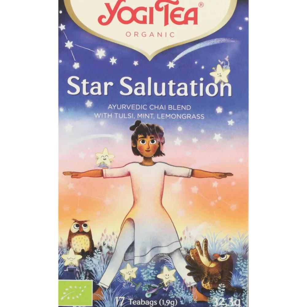 Star Salutation Biologisch 17 stuks^Yogi tea