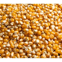 Discount Pofmais Bio 400 gr Bakken